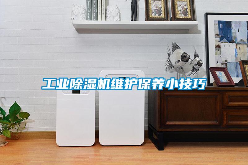 工业麻豆视频黄网站维护保养小技巧