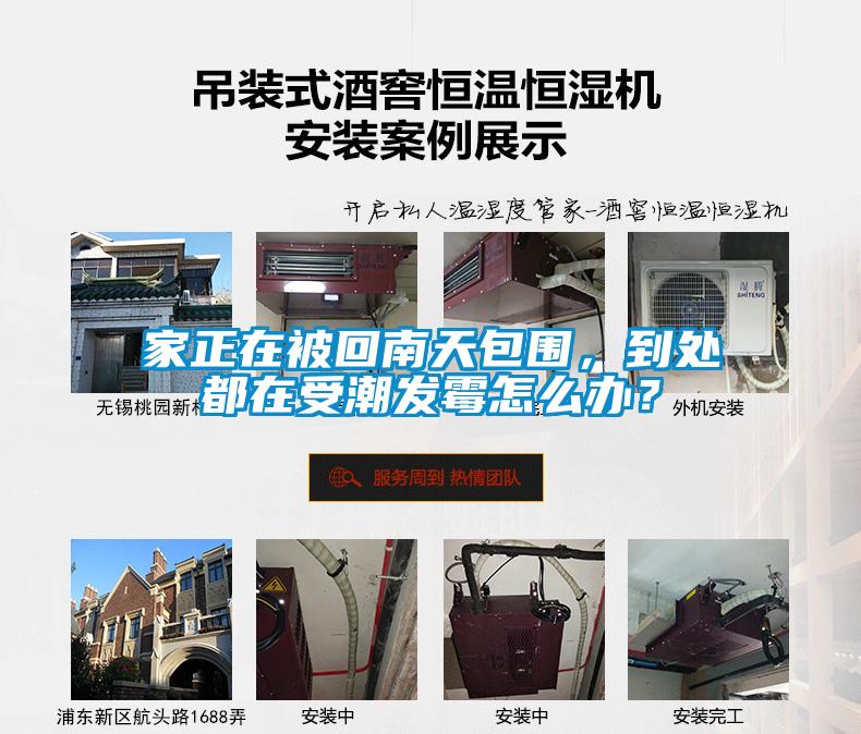 家正在被回南天包围，到处都在受潮发霉怎么办？