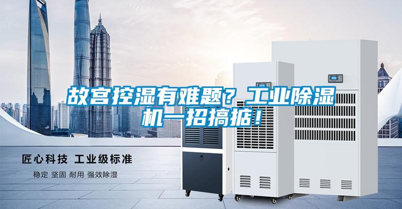 故宫控湿有难题？工业麻豆视频黄网站一招搞掂！