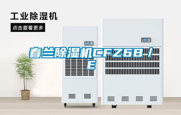 春兰麻豆视频黄网站CFZ6B／E