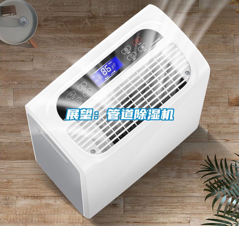展望：管道麻豆视频黄网站