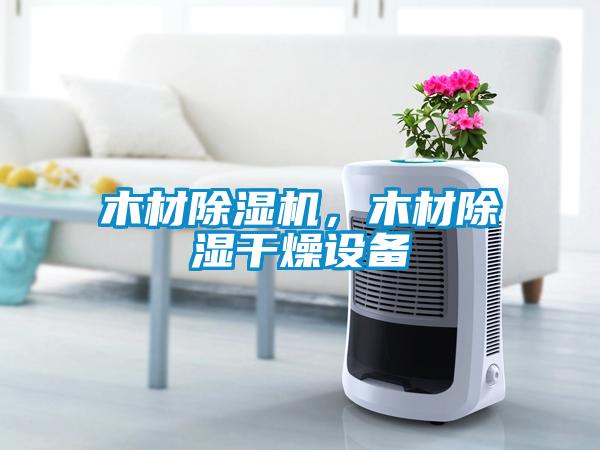 木材麻豆视频黄网站，木材除湿干燥设备