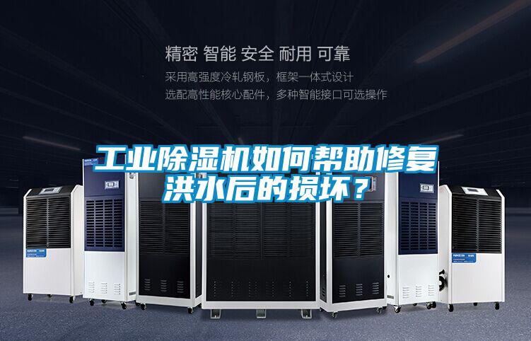 工业麻豆视频黄网站如何帮助修复洪水后的损坏？
