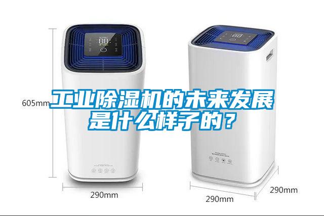 工业麻豆视频黄网站的未来发展是什么样子的？