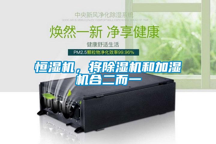 恒湿机，将麻豆视频黄网站和加湿机合二而一