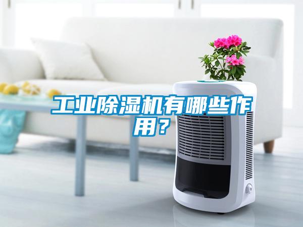工业麻豆视频黄网站有哪些作用？