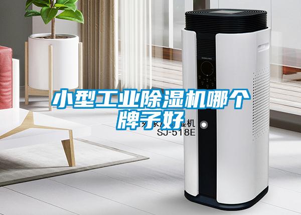小型工业麻豆视频黄网站哪个牌子好