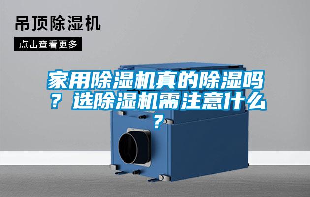 家用麻豆视频黄网站真的除湿吗？选麻豆视频黄网站需注意什么？