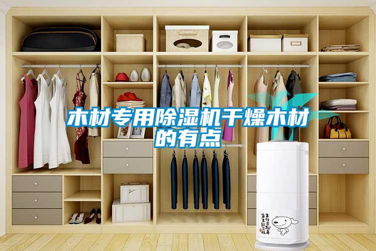 木材专用麻豆视频黄网站干燥木材的有点