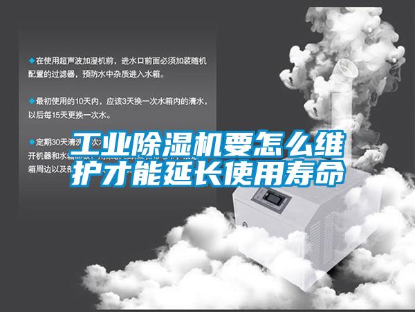 工业麻豆视频黄网站要怎么维护才能延长使用寿命