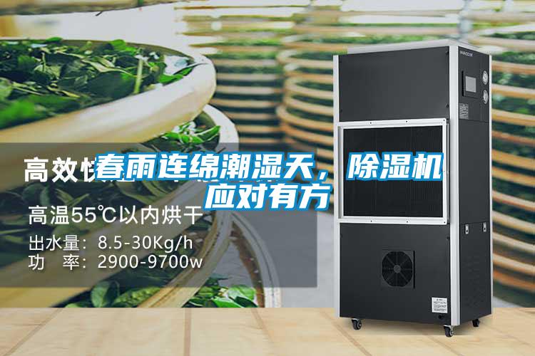 春雨连绵潮湿天，麻豆视频黄网站应对有方