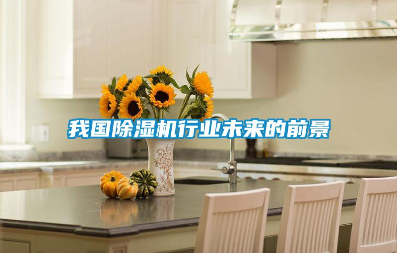 我国麻豆视频黄网站行业未来的前景