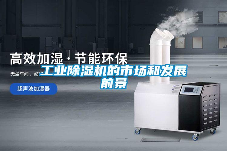 工业麻豆视频黄网站的市场和发展前景