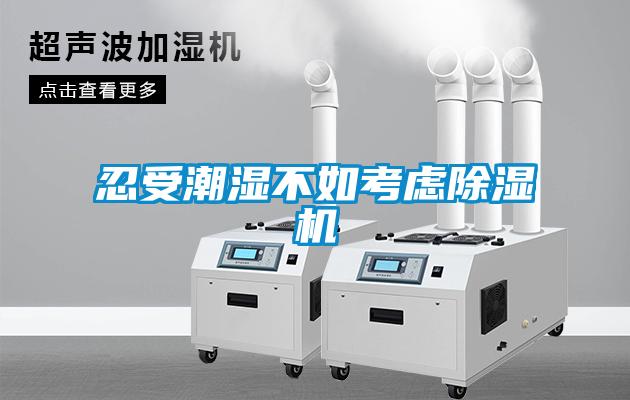 忍受潮湿不如考虑麻豆视频黄网站