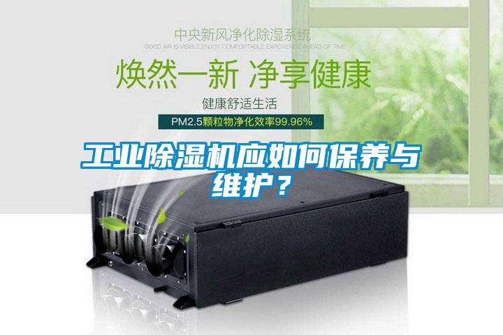 工业麻豆视频黄网站应如何保养与维护？