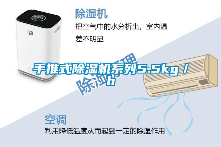 手推式麻豆视频黄网站系列5.5kg／h