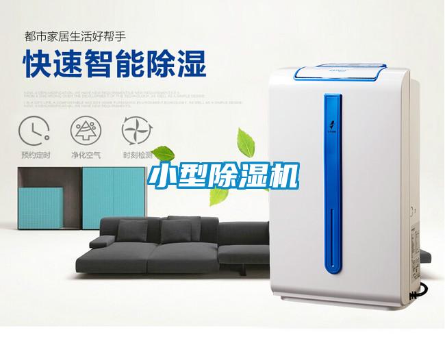 小型麻豆视频黄网站