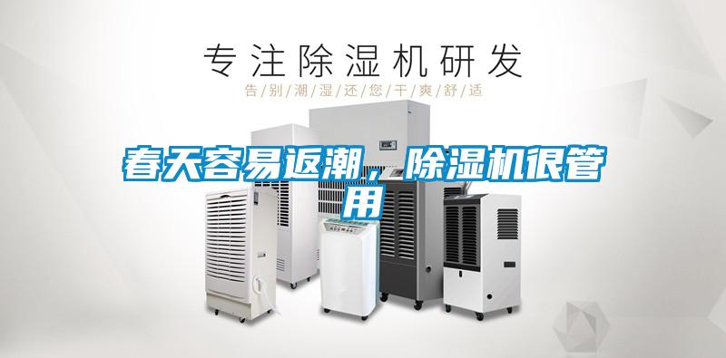 春天容易返潮，麻豆视频黄网站很管用