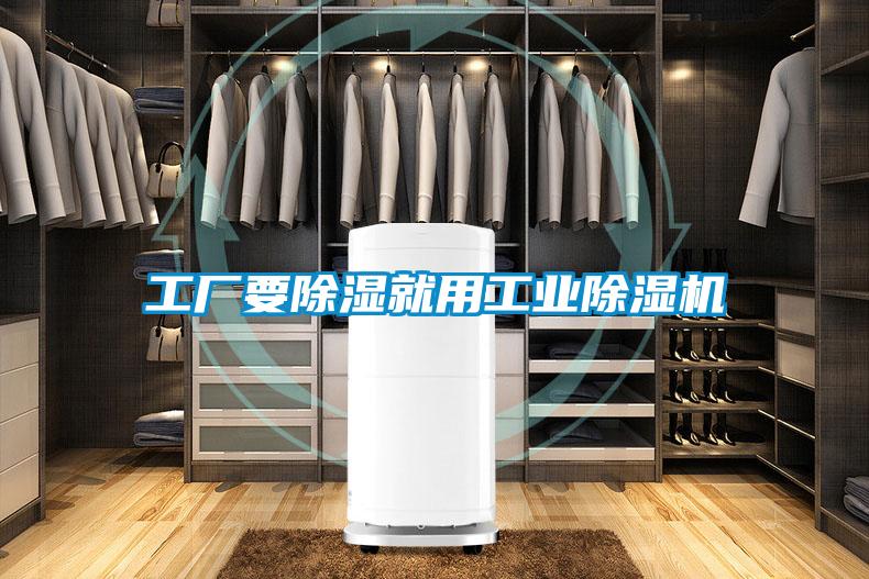 工厂要除湿就用工业麻豆视频黄网站