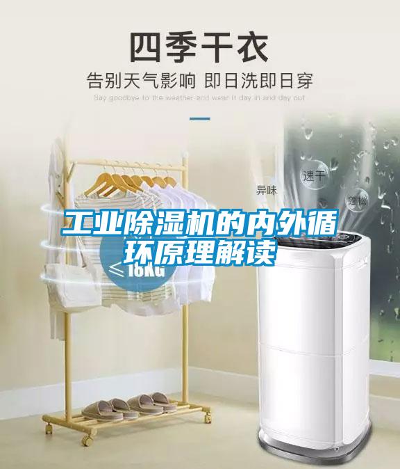 工业麻豆视频黄网站的内外循环原理解读