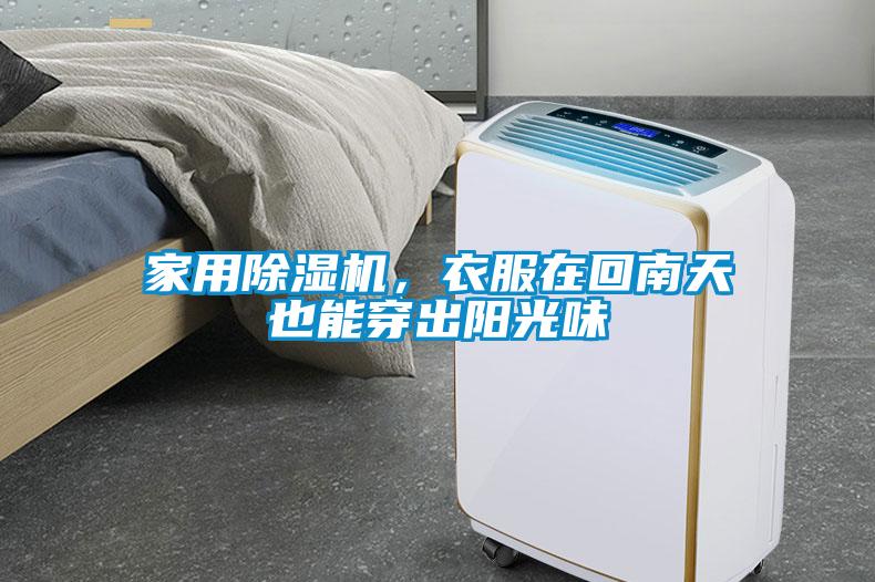 家用麻豆视频黄网站，衣服在回南天也能穿出阳光味