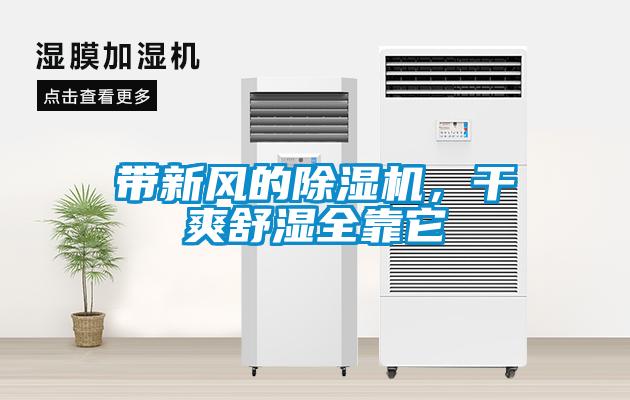 带新风的麻豆视频黄网站，干爽舒湿全靠它
