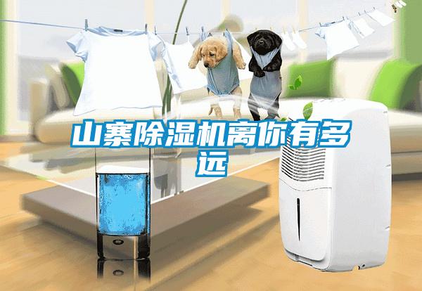 山寨麻豆视频黄网站离你有多远