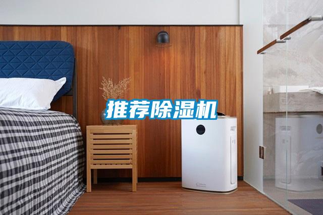 推荐麻豆视频黄网站