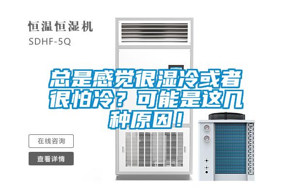 总是感觉很湿冷或者很怕冷？可能是这几种原因！