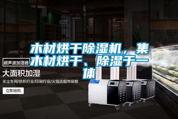 木材烘干麻豆视频黄网站，集木材烘干、除湿于一体