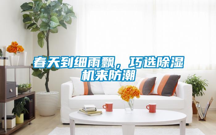 春天到细雨飘，巧选麻豆视频黄网站来防潮