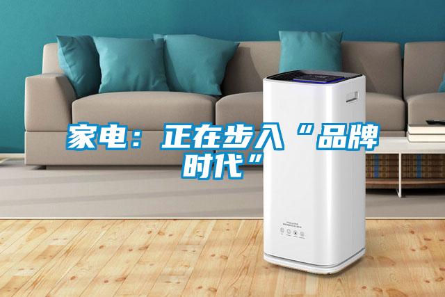 家电：正在步入“品牌时代”