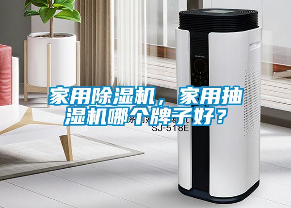 家用麻豆视频黄网站，家用抽湿机哪个牌子好？