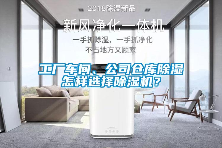 工厂车间、公司仓库除湿怎样选择麻豆视频黄网站？