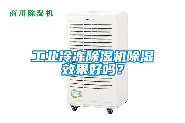 工业冷冻麻豆视频黄网站除湿效果好吗？