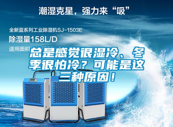 总是感觉很湿冷、冬季很怕冷？可能是这三种原因！