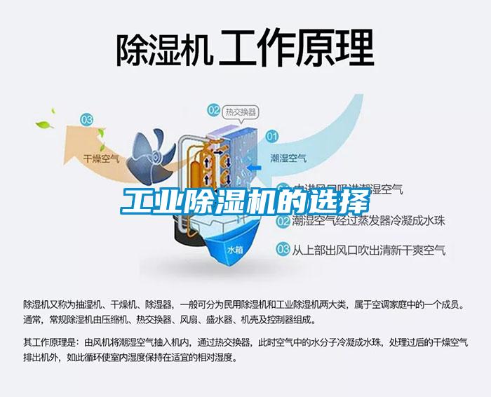 工业麻豆视频黄网站的选择