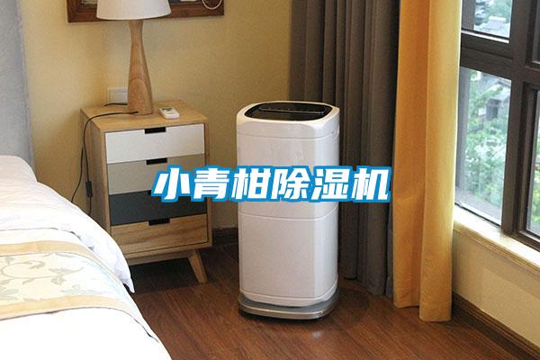 小青柑麻豆视频黄网站