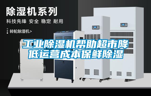 工业麻豆视频黄网站帮助超市降低运营成本保鲜除湿