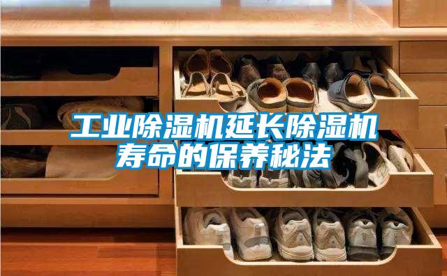 工业麻豆视频黄网站延长麻豆视频黄网站寿命的保养秘法
