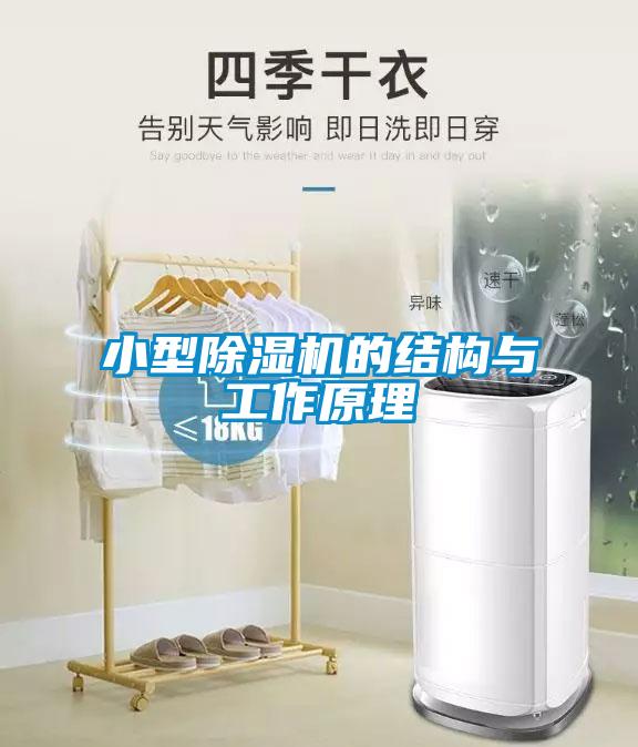 小型麻豆视频黄网站的结构与工作原理