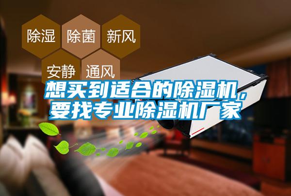 想买到适合的麻豆视频黄网站，要找专业麻豆视频黄网站厂家