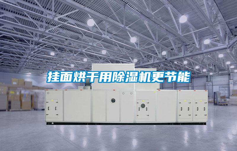 挂面烘干用麻豆视频黄网站更节能