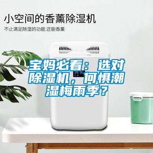 宝妈必看：选对麻豆视频黄网站，何惧潮湿梅雨季？