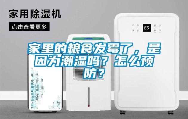 家里的粮食发霉了，是因为潮湿吗？怎么预防？
