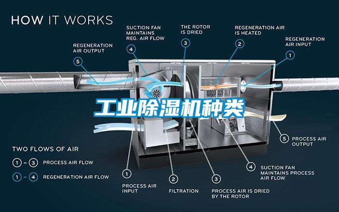工业麻豆视频黄网站种类