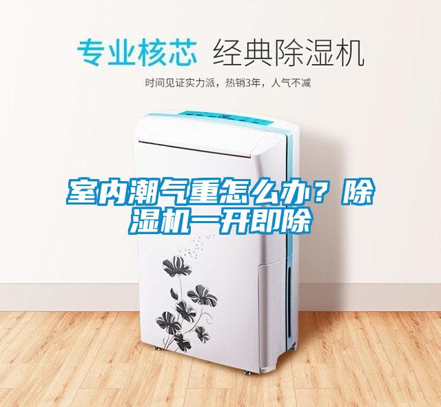 室内潮气重怎么办？麻豆视频黄网站一开即除