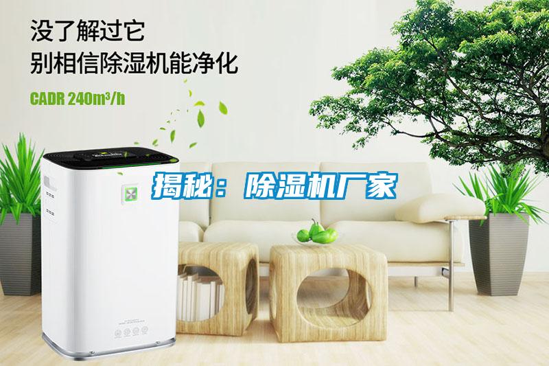 揭秘：麻豆视频黄网站厂家