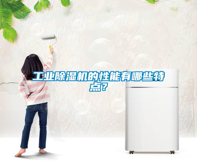 工业麻豆视频黄网站的性能有哪些特点？