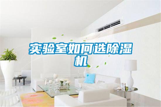实验室如何选麻豆视频黄网站